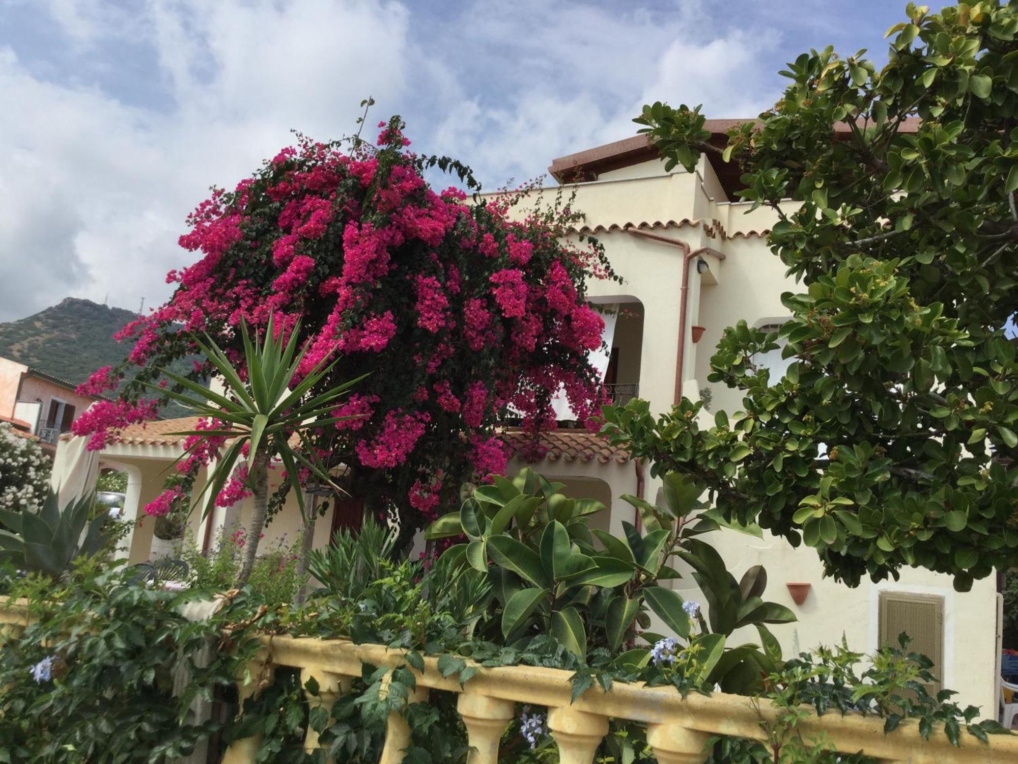 ואלדוריה Villa Bouganville מראה חיצוני תמונה